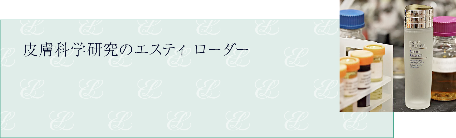 皮膚科学研究のエスティ ローダー