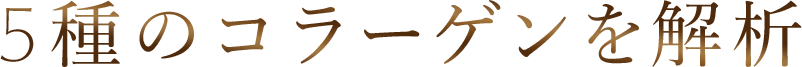 5種のコラーゲンを解析 
